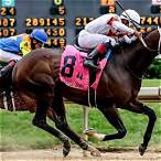 best horse to bet on today